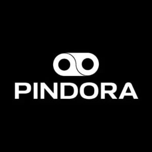 Logo de Pindora, plateforme d’IA décentralisée