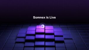 Logo de Somnex, plateforme DeFi sur le testnet de Somnia