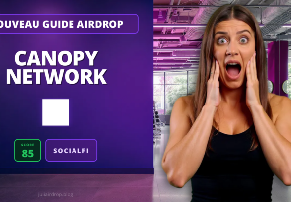 Julia présente son analyse du canopy airdrop